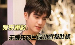 娱乐大爆料宋威龙,揭秘明星背后的故事