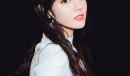 王晶爆料热巴事件视频,真相背后引人深思